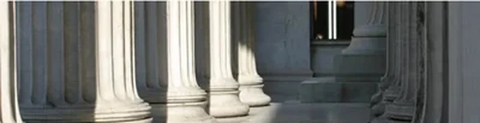 מכרזים ומשפט מנהלי